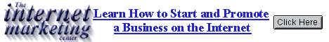 Learn How to Start and Promote a Business on the Internet
